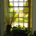 Office window looking out on quad